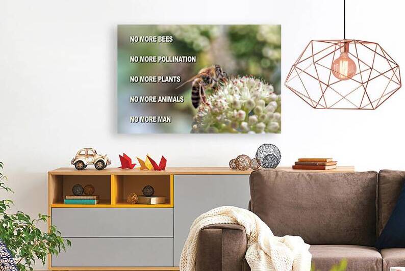 SAVE THE BEES by Sergio Cerrato