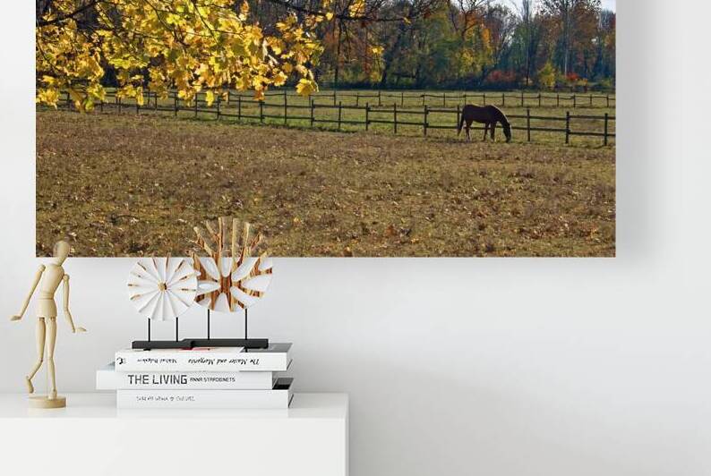 A HORSE IN AUTUMN by Sergio Cerrato