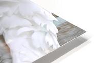 UPSIDE DOWN SWAN HD Metal print
