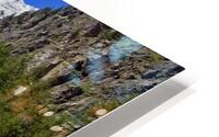 UNCONTAMINATED ENVIRONMENT HD Metal print