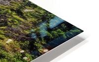 WILD NATURE HD Metal print