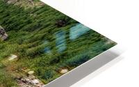 MOUNTAIN RIVER HD Metal print