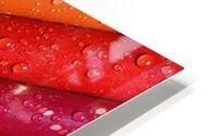 WET NUANCES HD Metal print