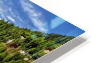 SPRING BLOOM IN THE ALPS HD Metal print