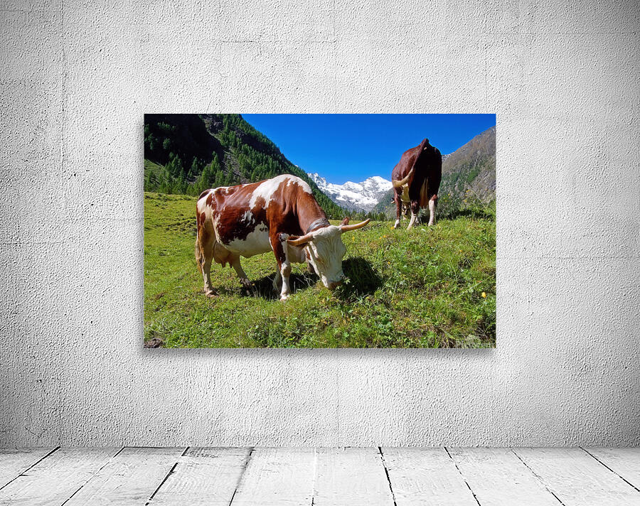 GRAZING COWS Wall Preview