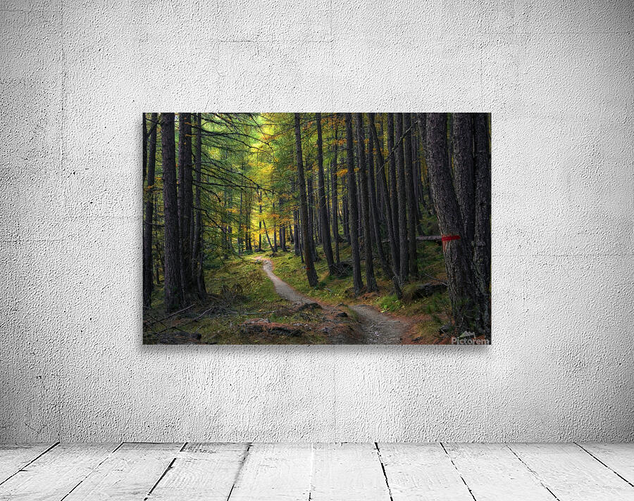 TOWARD THE LIGHT Wall Preview