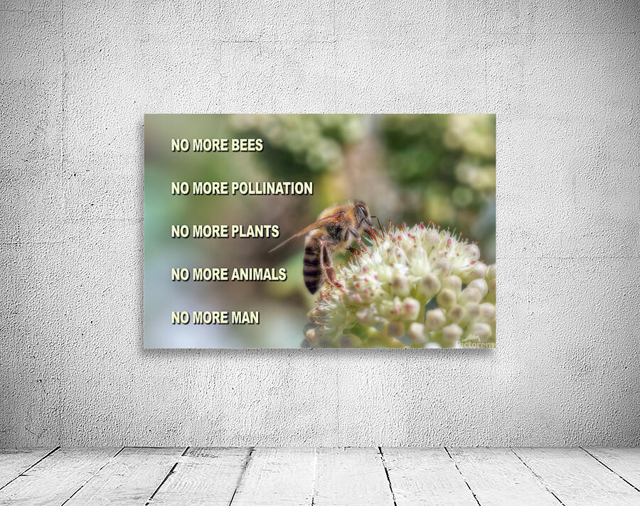 SAVE THE BEES Wall Preview