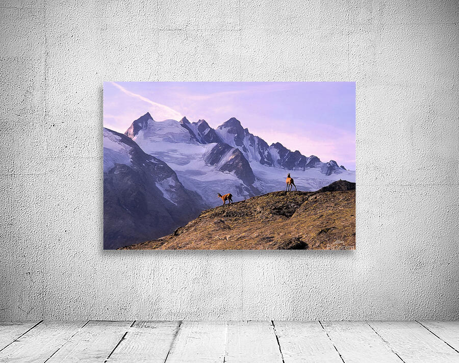 ALPINE SUNRISE Wall Preview