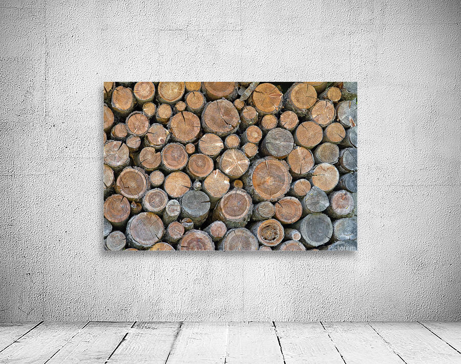 FOREST WRECKS Wall Preview