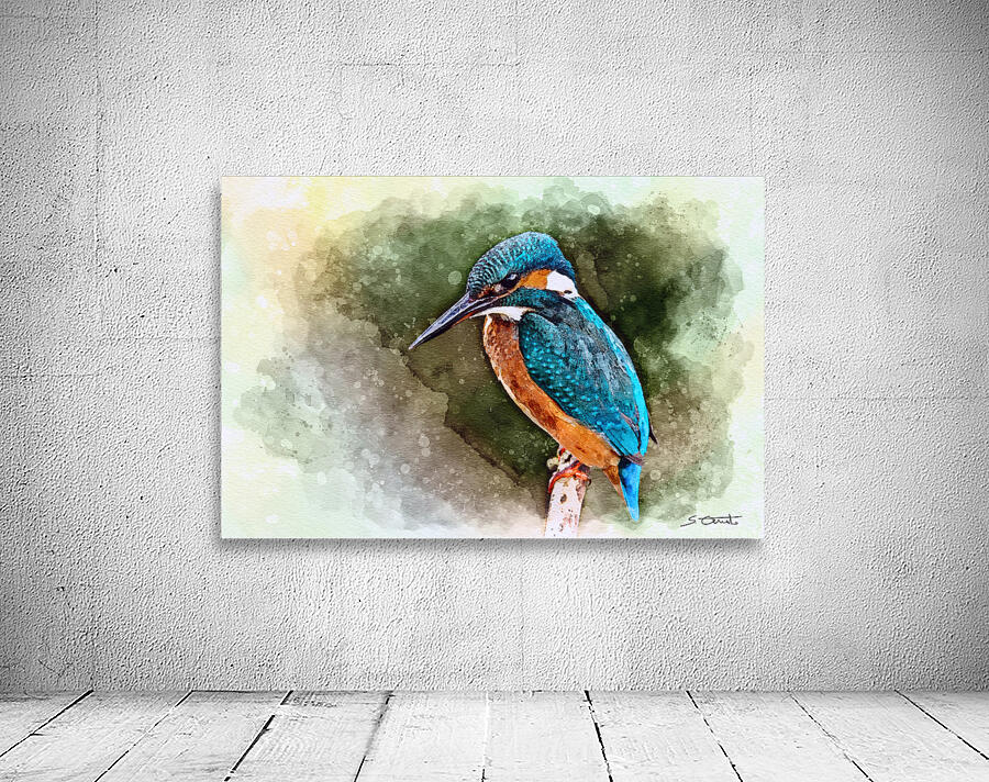KINGFISHER Wall Preview