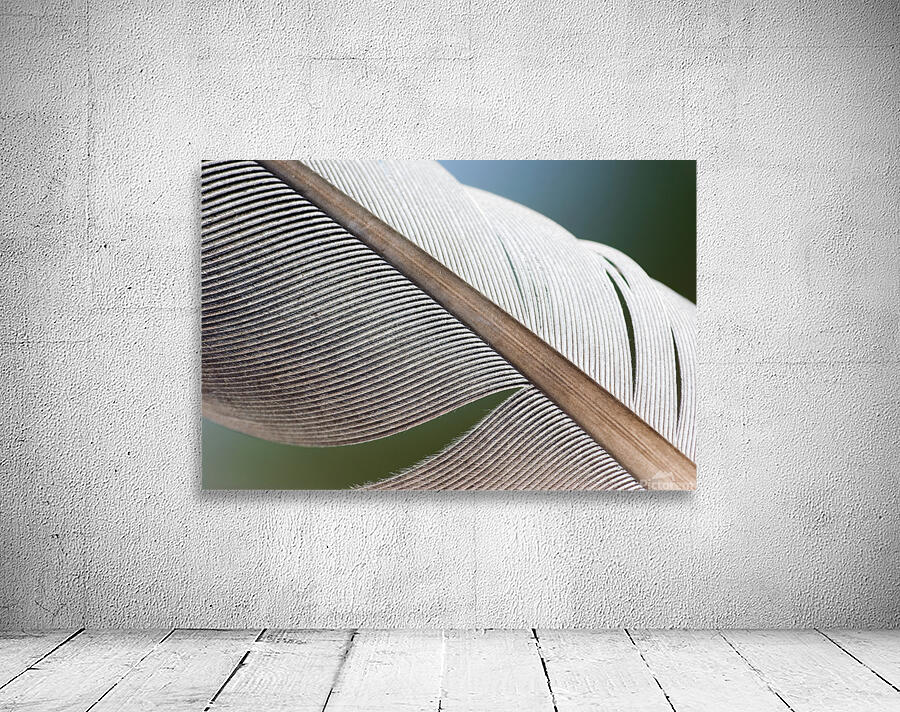 BUILT TO FLY Wall Preview