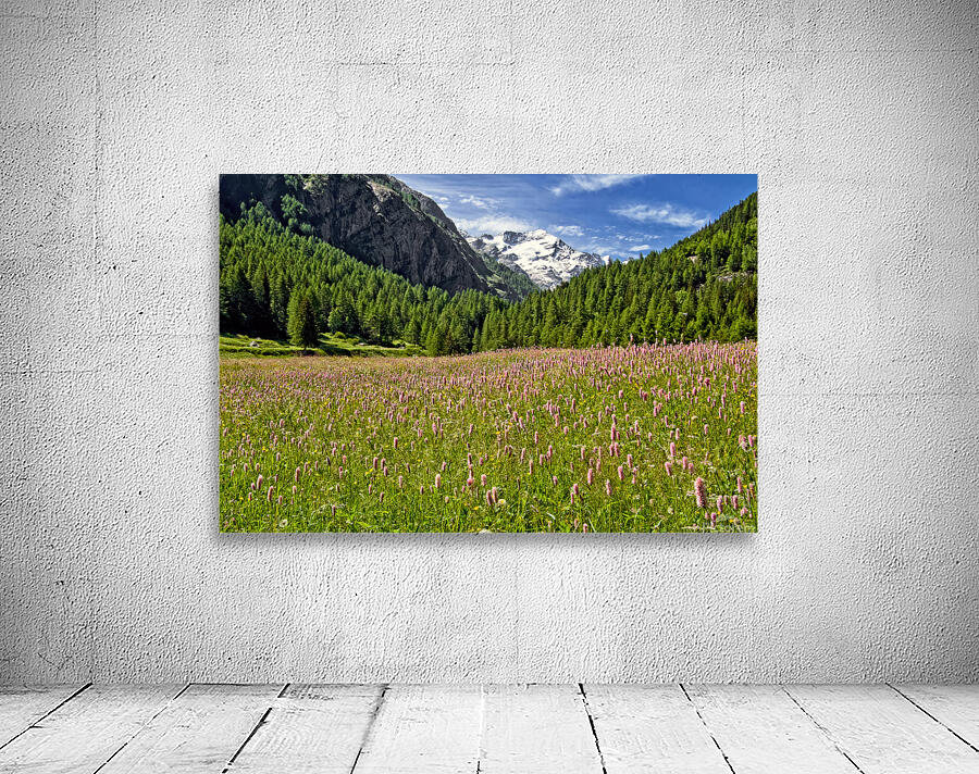 SPRING BLOOM IN THE ALPS Wall Preview