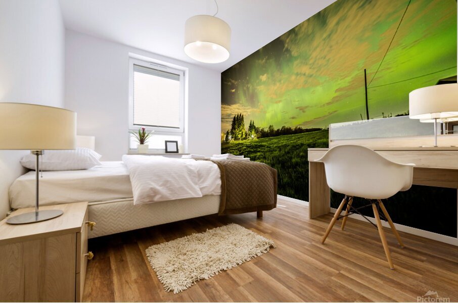 Aurora Horizon Mural print