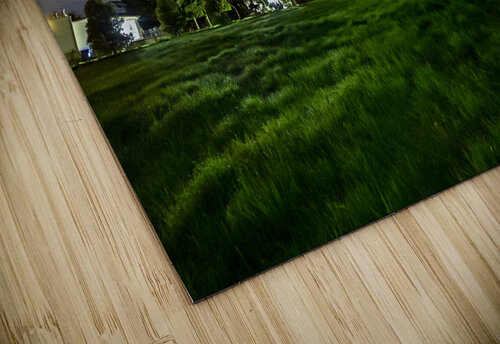  Emerald Sky Mila Araujo puzzle
