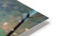  Emerald Sky HD Metal print