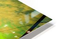 Aurora Horizon HD Metal print