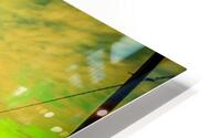 Celestial Fields: Embrace the Infinite HD Metal print