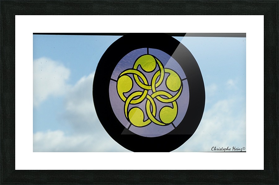 Shingitai Ryu Picture Frame print