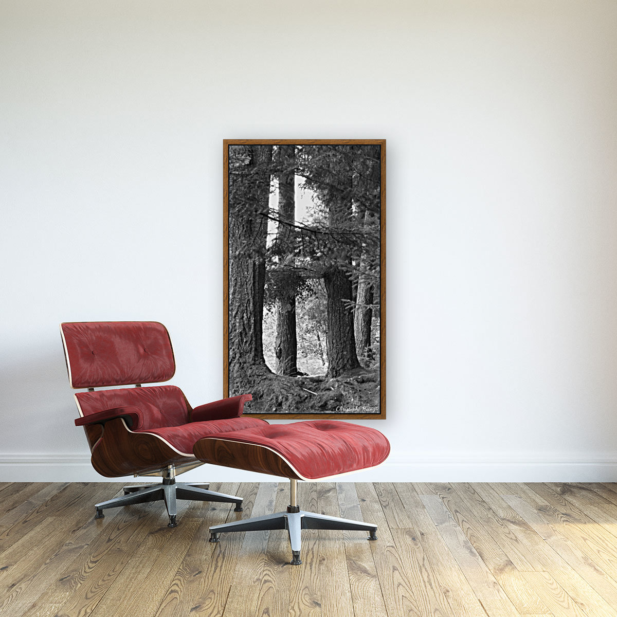 foret 3 Reproduction
