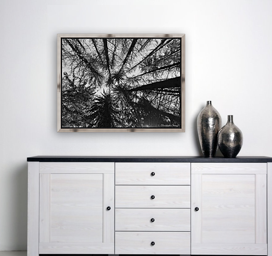 foret 2 Reproduction