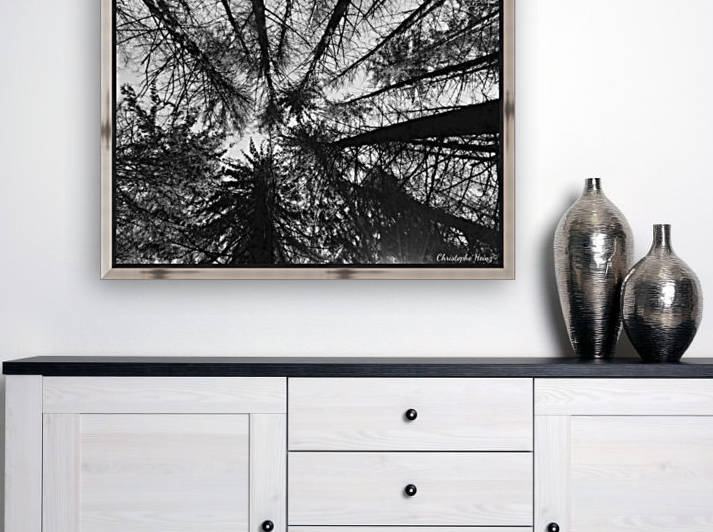 foret 2 Reproduction