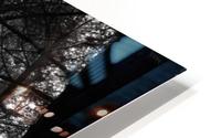  foret HD Metal print