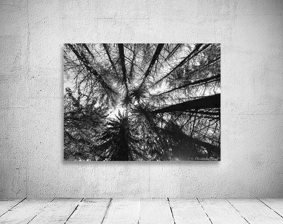 foret 2 Wall Preview