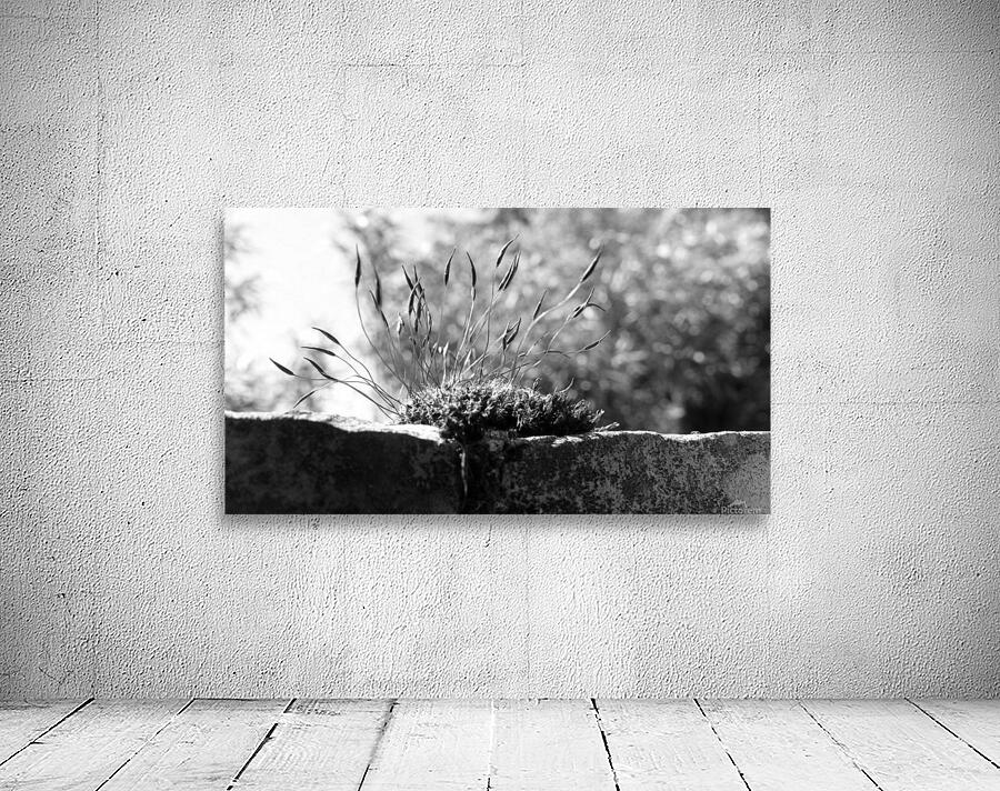 inspiration Wall Preview