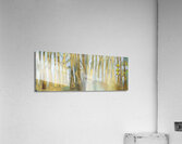 2025 C4 Acrylic Print