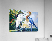 Egrets Face-to-Face Dark Acrylic Print