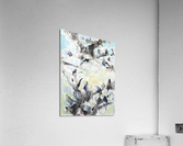 20220004 Acrylic Print