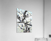 20220005 Acrylic Print