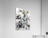 20220047 Acrylic Print