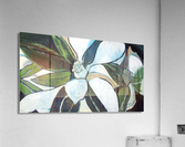 20220070 Acrylic Print