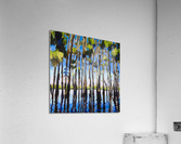 20230019 V2 Acrylic Print