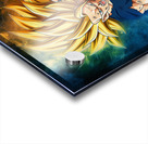 Dragon Ball Acrylic print