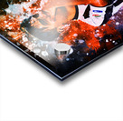 Paulo Dybala Acrylic print