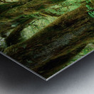 Forest Metal print