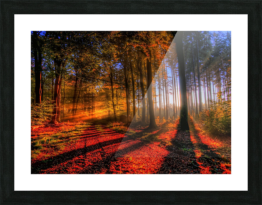Forest Picture Frame print