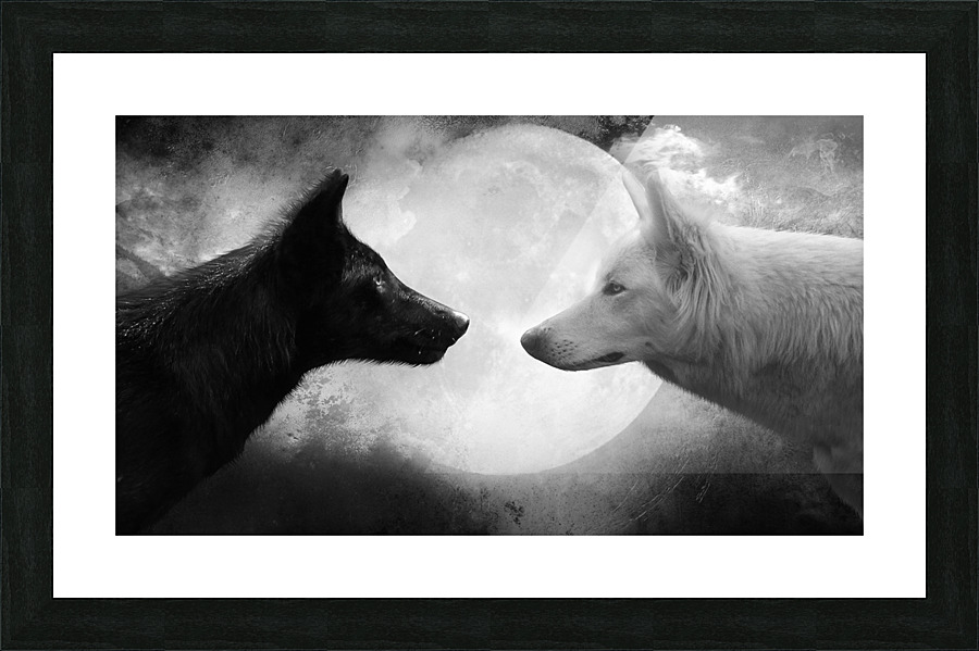 Black and Withe WOLF Picture Frame print