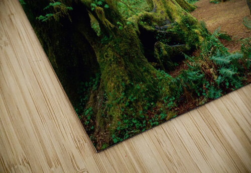 Forest Coolbits Artworks puzzle