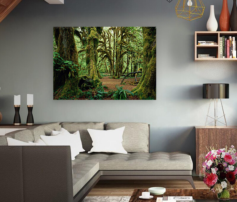 Forest Reproduction