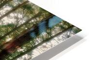 Forest HD Metal print