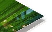 Forest HD Metal print