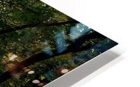 Forest HD Metal print