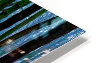 Forest HD Metal print