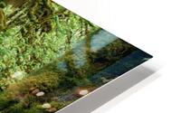 Forest HD Metal print