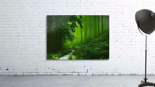 Forest Wall Preview