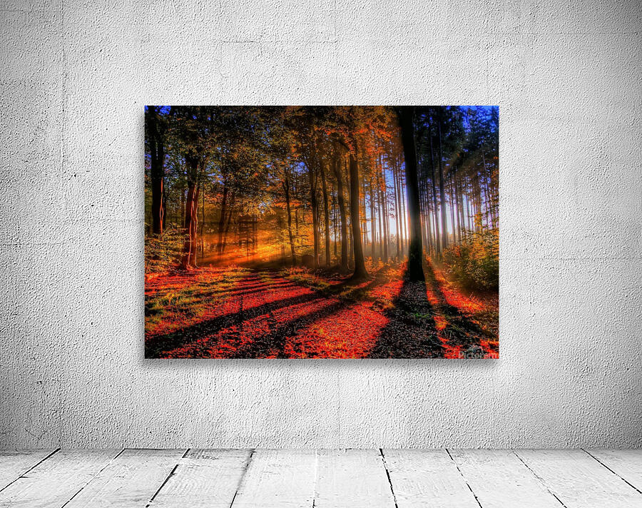 Forest Wall Preview