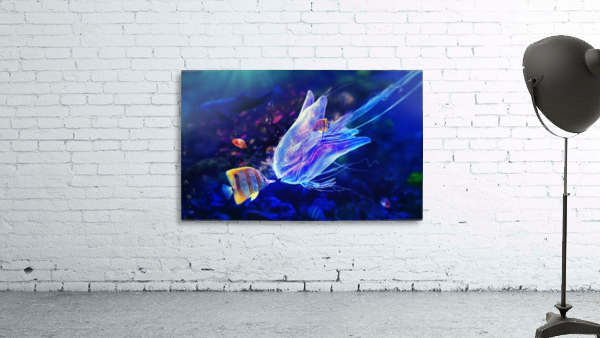 Fish Wall Preview